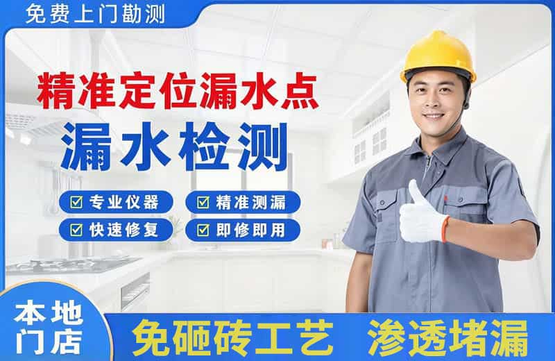 塔洋精准测漏点